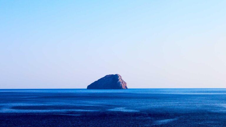 Is The 99Exch Download Completely Free For Users?